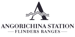 Angorichina Station